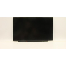 Lenovo DISPLAY FRU AU B156HAN02.1 ZA