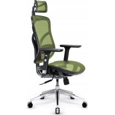 Diablo Chairs Krzesło biurowe Diablo Chairs V-Basic Zielone