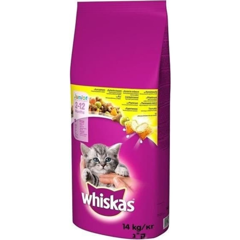 Whiskas Junior with chicken - dry cat food - 14kg
