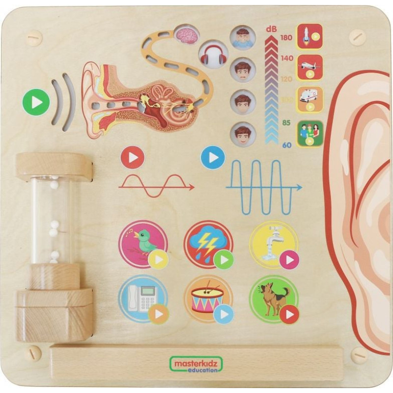 Masterkidz Tablica Edukacyjna Zmysł Słuchu