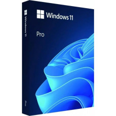 Microsoft Software|MICROSOFT|Win Pro FPP 11 64-bit Eng Intl USB|Win Pro|Retail|HAV-00163