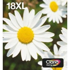 Epson Tusz Epson Epson 18XL Multipack XL CMYK (C13T18164511)