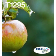Epson Tusz Epson Tusz T129 4-Pack L CMYK (C13T12954511)