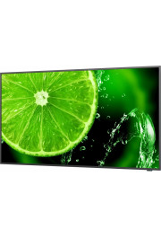 NEC Монитор Videowall NEC 60005059 LED 4K Ultra HD 65