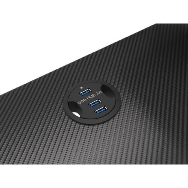 Natec Gaming desk Genesis Holm 300 RGB