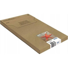 Epson Tusz Epson EPSON Multipack 4-colours 603 EasyMail