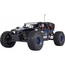 Amewi Reely Raptor 6S Brushless 1:8 RC Modellauto Elektro Buggy Allradantrieb RtR 2,4 GHz (RE-5064051)