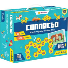 Dante Zestaw playshifu connecto